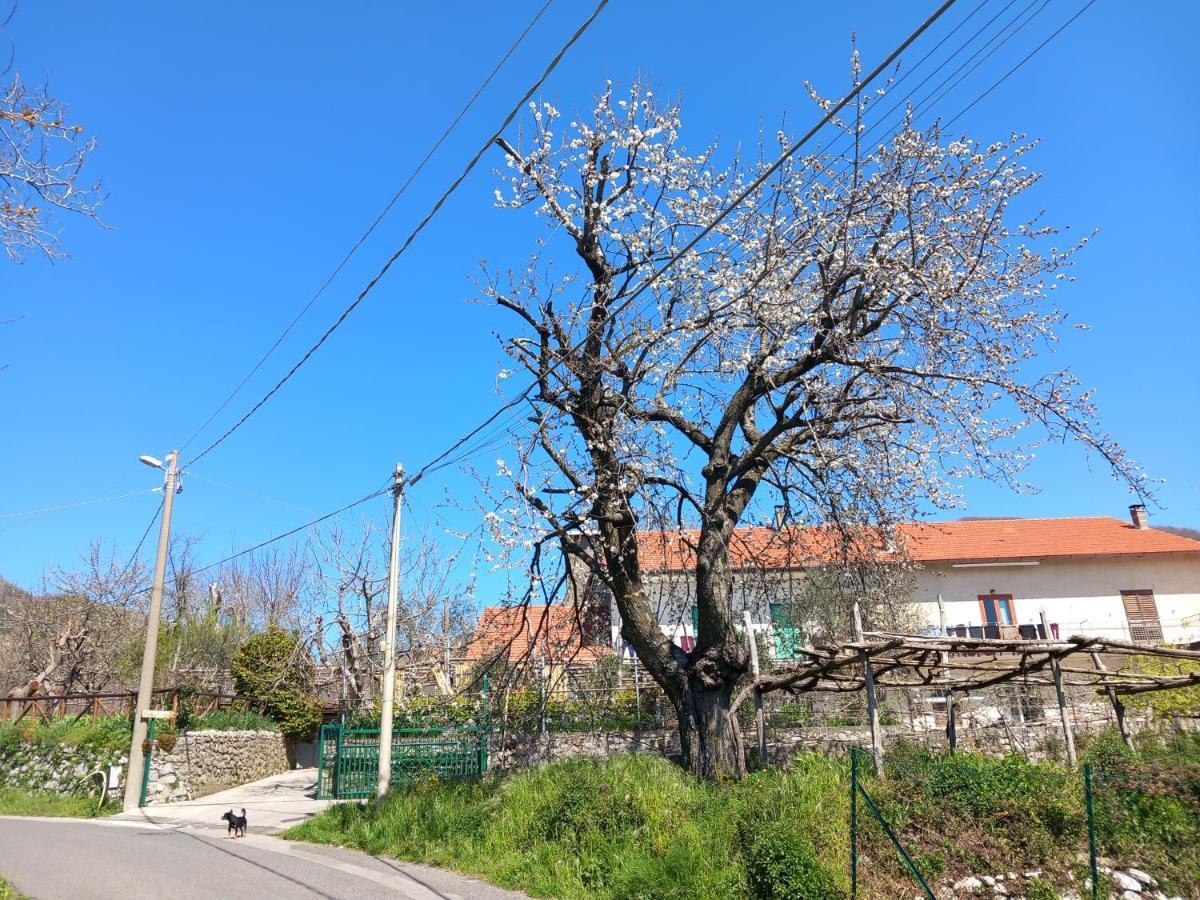 Mon Reve Agerola Exterior foto